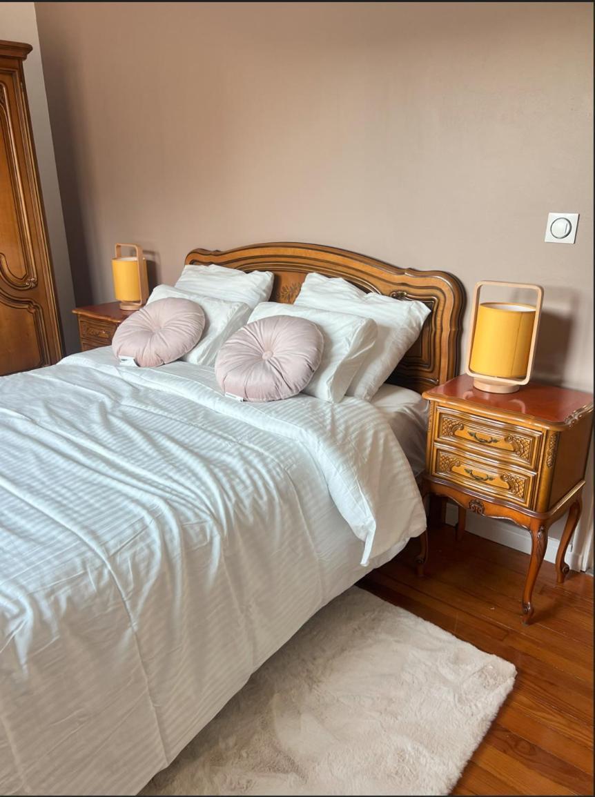 Belle Maison Avec Jardin ! Bezannes Luaran gambar